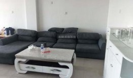 最新家园家具爆料,家园家具最新爆料揭秘