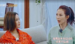 港姐系列爆料视频大全,揭秘港姐幕后故事与精彩瞬间